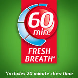 Dentyne Ice Sugar-Free Gum, Spearmint, 16 Count (Pack of 9)