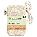 Purely Plant Loofah Dish Sponge 6 Pack-Non Toxic, 100% Plastic Free, Compostable & Biodegradable Premium Kitchen Scrubber, Plant Based, Non-Scratch