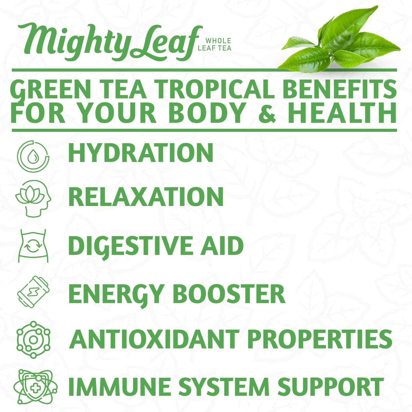 Mighty Leaf Green Tea Tropical - 100 Count Whole Leaf Green Tea Bags - Pyramid Sachets with Pineapple, Tropical Fruit & Floral Flavors