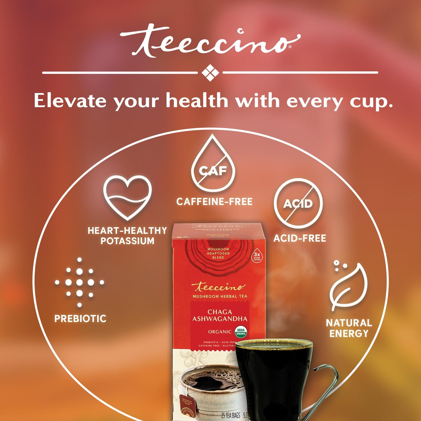 Teeccino Chaga Ashwagandha Tea - Butterscotch Cream - Organic Mushroom Adaptogenic Herbal Tea, 3x More Herbs than Regular Tea Bags, Prebiotic