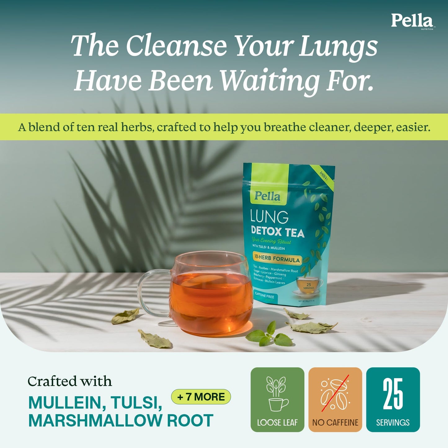 Lung Detox Tea - 10-Herb Formula with Ginger Licorice Elderberry Ginseng Marshmallow Root Echinacea Peppermint Tulsi Rooibos & Mullein Leaves - Vegan