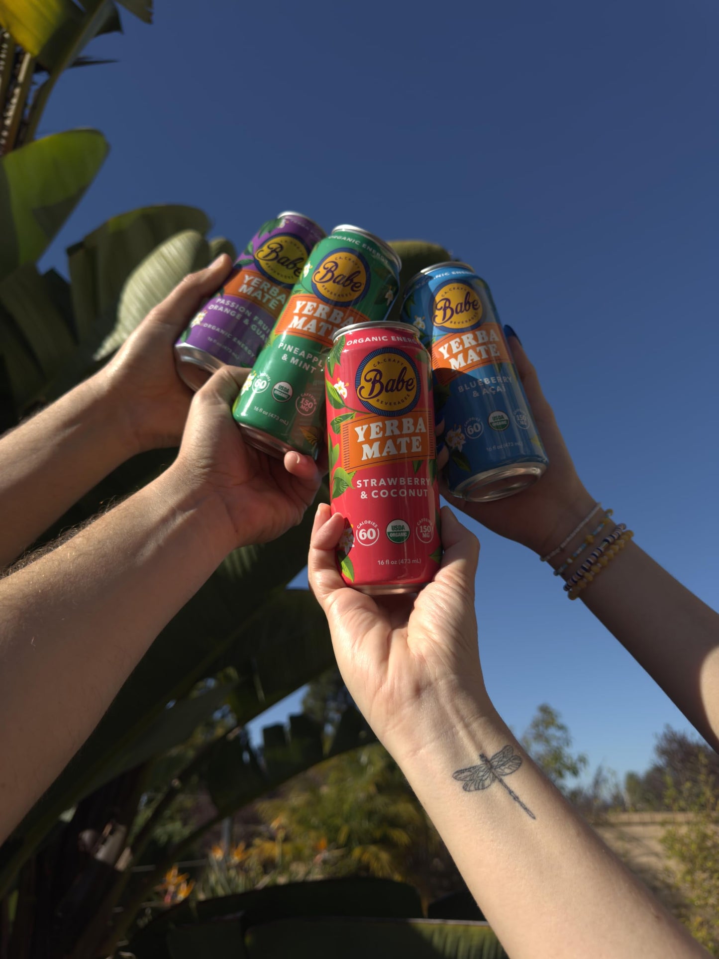 Babe Organic Yerba Mate Energy Drinks | 150mg Plant-Based Caffeine | Natural Yerba Mate Tea with No Crash, No Jitters - Sample Pack (6 x 16oz Cans)