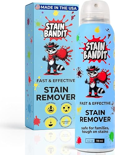 Stain Bandit Stain Remover Spray | Non-Toxic Stain Remover Family Safe Formula | Bag-On-Valve 360° Continuous Spray Bottle | Cleaner for Clothes