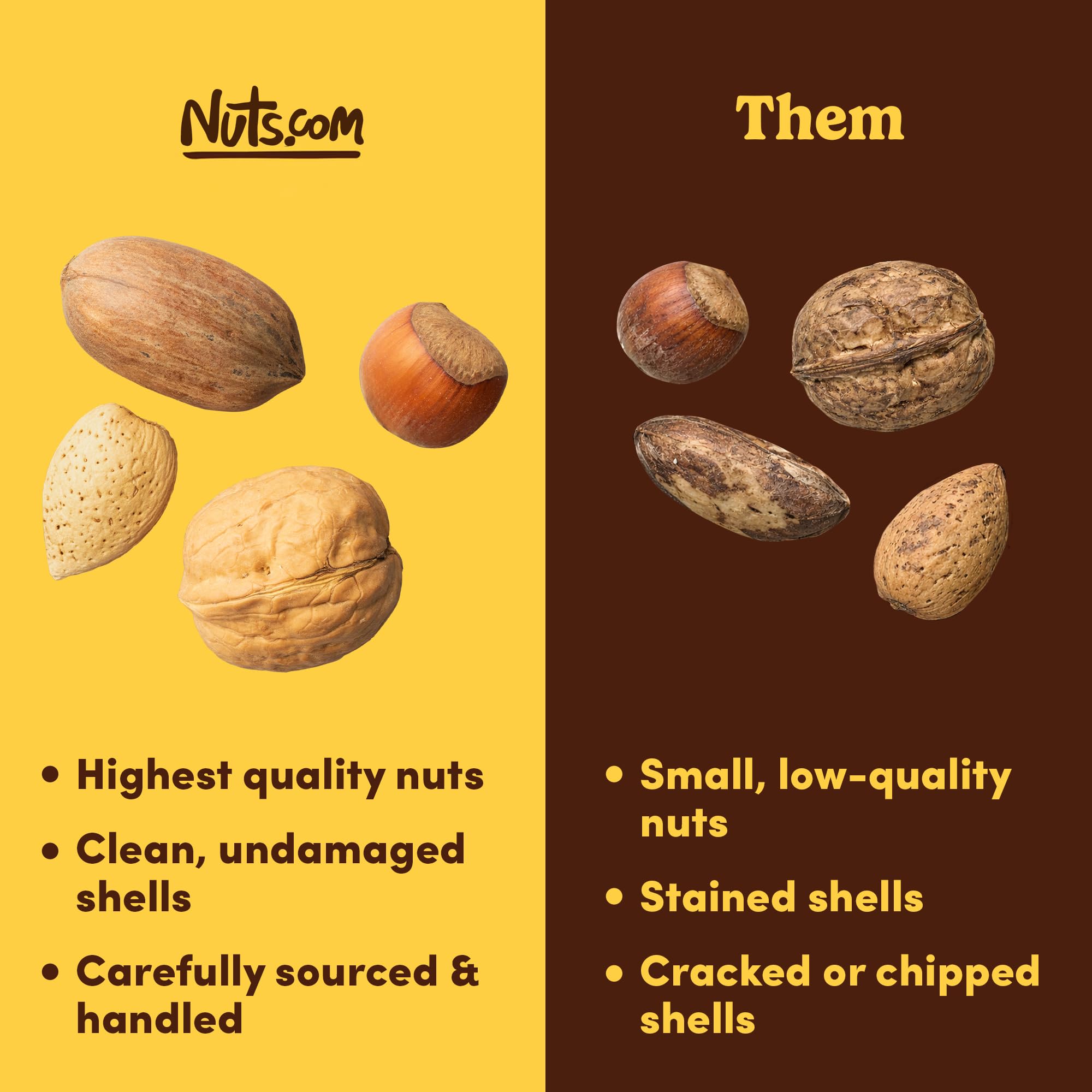Mixed Nuts in Shell, No Brazil Nuts - 3 lb Bag, Natural, Includes Walnuts, Hazelnuts, Pecans, Almonds - Healthy Snack Sampler for Squirrels