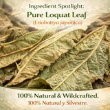 Té de Hojas de Níspero (Loquat Leaf Tea) - 4 oz (113 g) - 100% Natural, Wildcrafted Herbal Loose Leaf Tea - Caffeine-Free, Vegan, Gluten-Free, Non-GMO