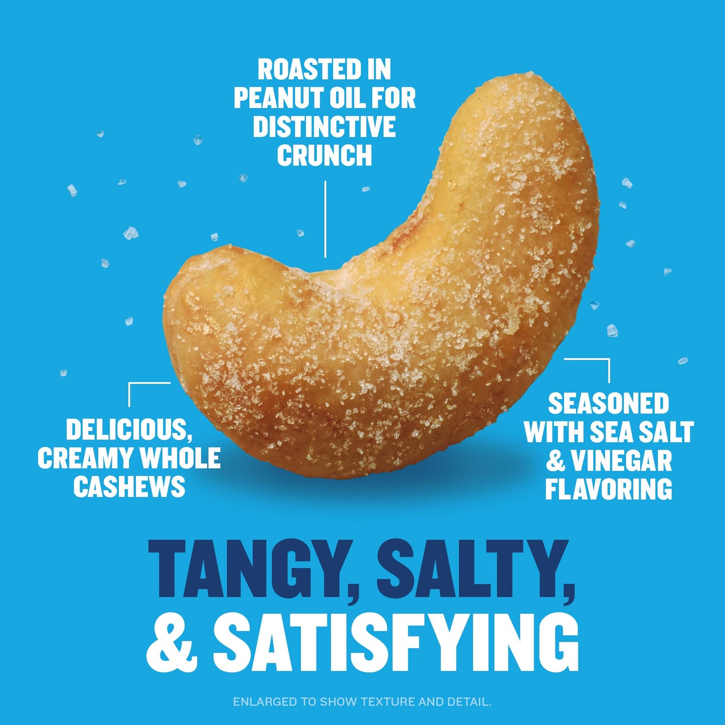 Planters Salt & Vinegar Cashews, Plant Based Protein, 5 oz Resealable Bag