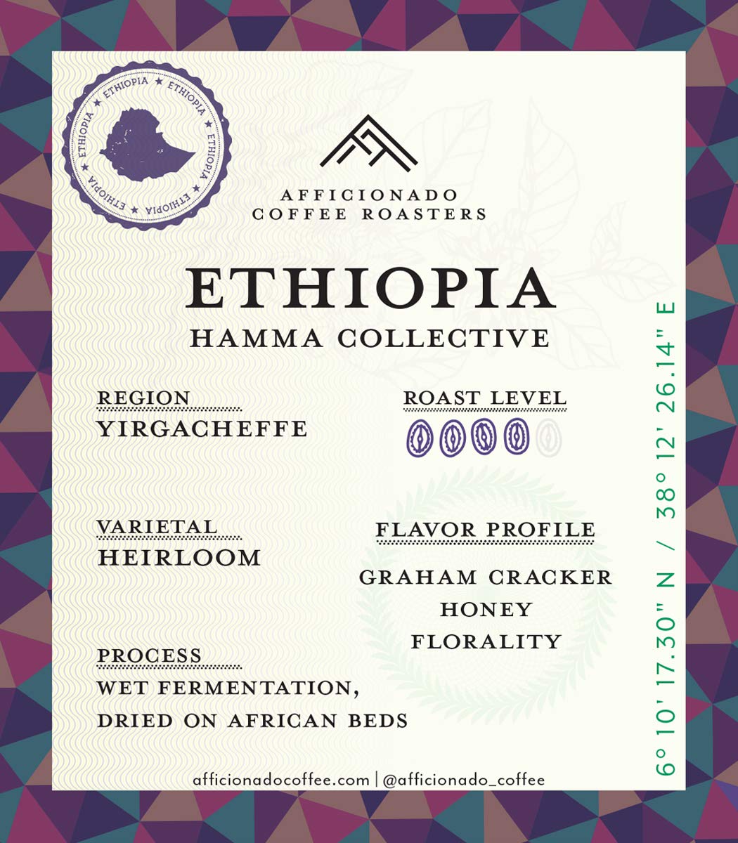 Afficionado Coffee Roasters | Medium Roast Arabica Coffee | 12 Ounce Bag (Ethiopia Hamma Collective, Whole Bean)