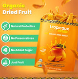 Organic Dried Mango Slices, No Sugar Added, 16oz - All-Natural, Non-GMO, Mouth-Watering Dried Mangoes - Preservative-Free, Nutritious & Delicious