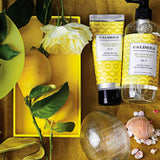 Caldrea Countertop Cleanser-Sea Salt Neroli-16 Oz.