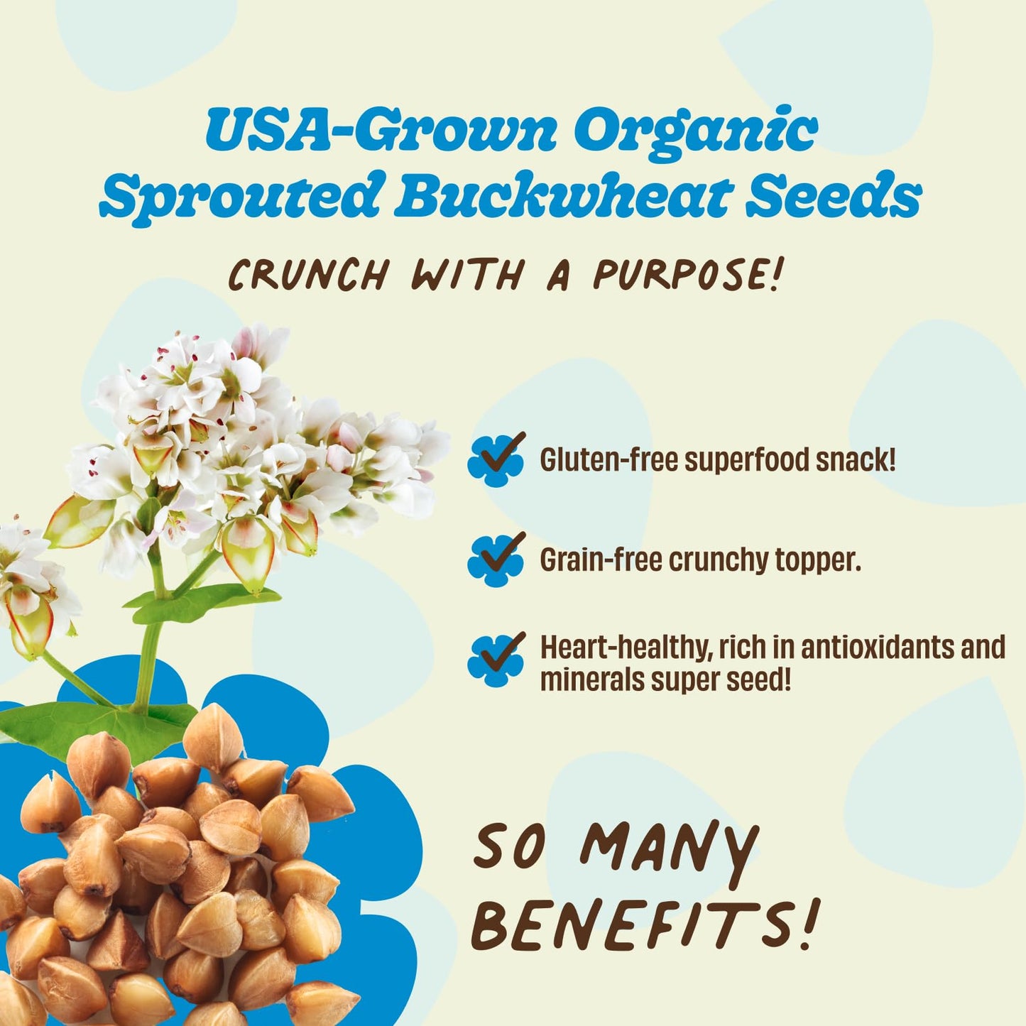 Lil Bucks Sprouted Regeneratively Grown Buckwheat Seeds- Paleo Cereal, Gluten-Free Granola, High in Protein, Low Sugar, Organic Superseed Crunch