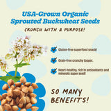 Lil Bucks Sprouted Regeneratively Grown Buckwheat Seeds- Paleo Cereal, Gluten-Free Granola, High in Protein, Low Sugar, Organic Superseed Crunch