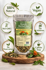 Muicle Herbal Tea - Hojas de Mexican Honeysuckle (Justicia spicigera) - Jumbo Size - Net Wt. 113 g (4 oz) - Natural Sun-Dried Loose Leaves