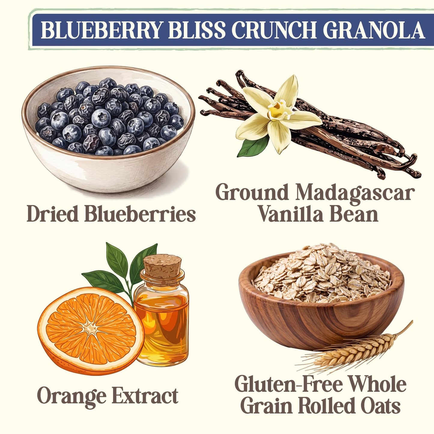 Laura's Gourmet Granola BlueBerry Bliss Crunch, 2 lb, Gluten-Free Oats, Vegan, Dairy & Soy Free Snack, Organic Agave, Chewy Blueberries, Citrus