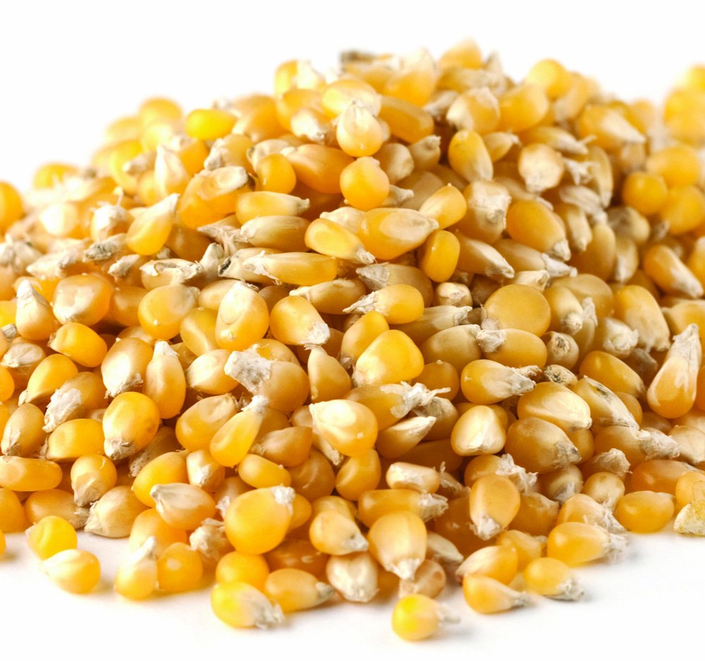YANKEETRADERS Lady Finger Popcorn, 3 Pound