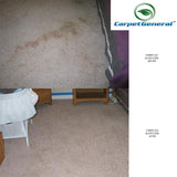CarpetGeneral - Carpet Spot Remover - Multi-Surface Carpet Stain Cleaner - Citrus Fragrance - Residential and Commercial Use - For Heavy-Duty Stains
