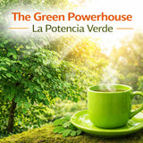 Moringa Leaf Tea - 4 oz (113 g) - 100% Natural Loose Leaf | Non-GMO, Vegan, Caffeine-Free Herbal Infusion - Dried Oleifera Leaves (Té de Hojas de