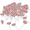 RED HEART SHAPED SWIRL POP - Edibles - 12 Pieces