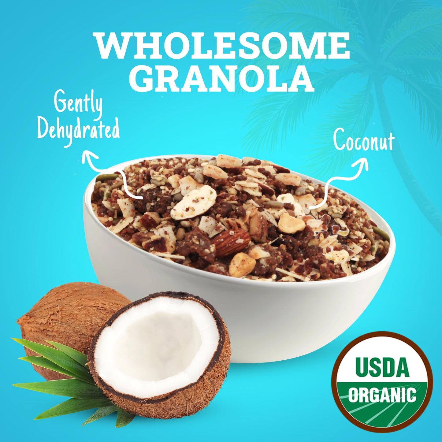 Coconut Un-Cereal™ Granola Gluten Free and Grain Free, Dehydrated 9.3oz Pack of healthy granola, Perfect for Smoothies, Free from Cheap Fillers, Ideal