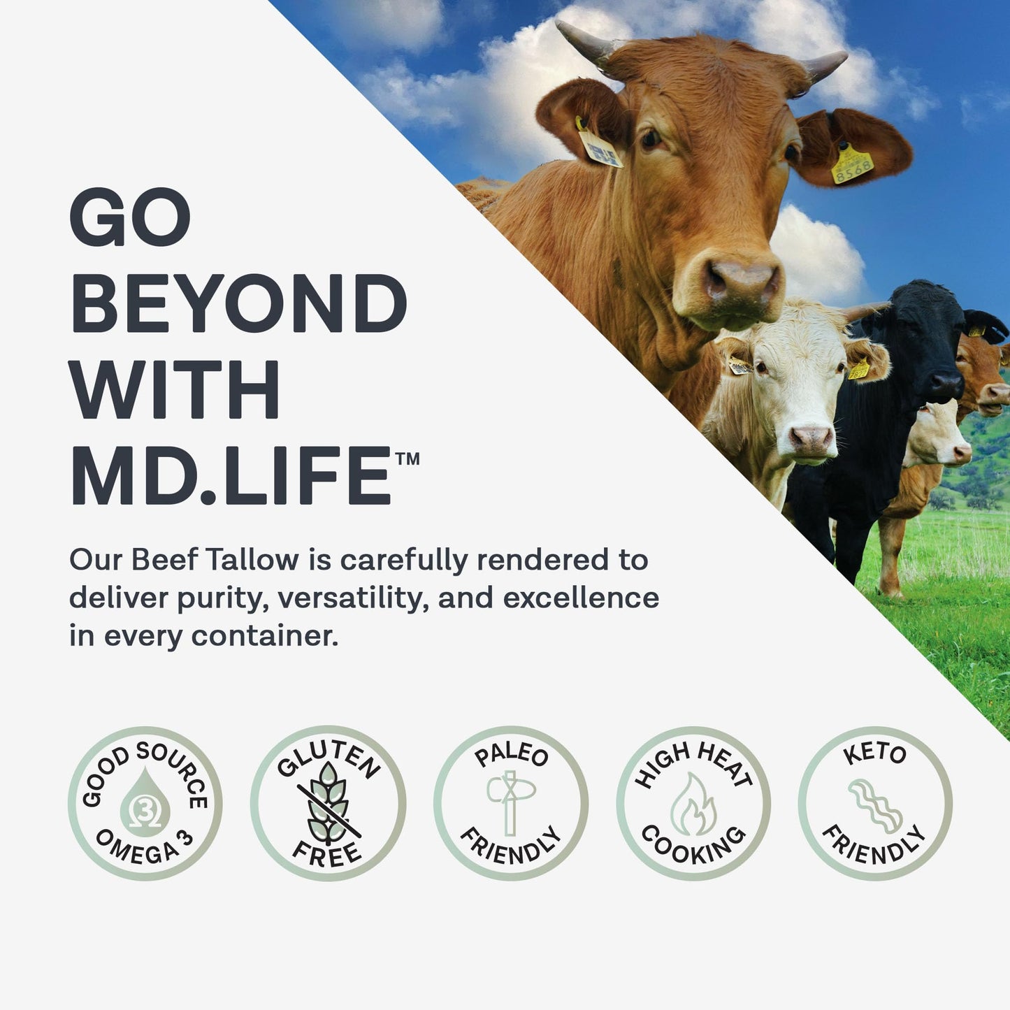 MD. Life Bulk Beef Tallow for Cooking - Food Grade Grass Fed for Cooking Oil Replacement - 24 Pounds - Pasture Raised Keto Friendly Beef Tallow- Used