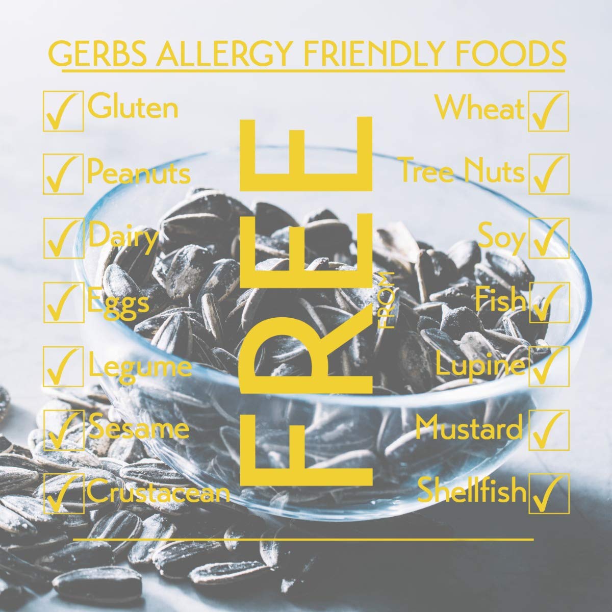 Gerbs Jumbo Raw Whole Sunflower Seeds 2 lbs. | No Artificial Additives, Shell-On, Resealable Bag | Crack-and-Eat Crunchy Snack | Top 14 Allergen-Free
