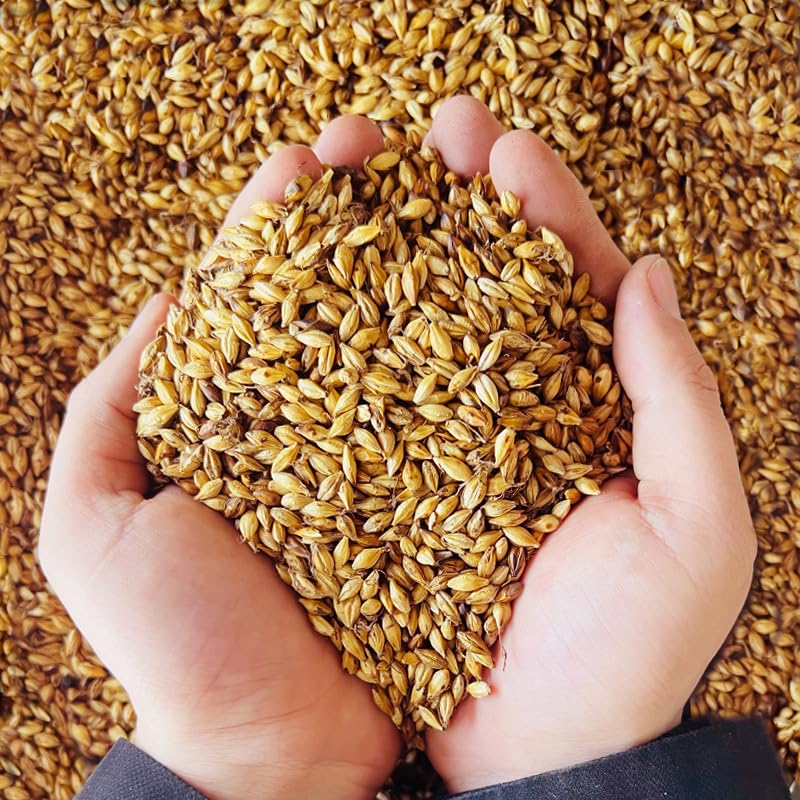 Zercunn Fried Malt 500G Sulfur-Free Fumigating Bulk Fried Barley Malt