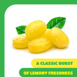 Lemon Drops Hard Candy - 1 Pound Pack - Sanded Lemon Candy with Sweet and Tart Citrus Flavor - Old Fashioned Yellow Candy for Party Favors, Gifting