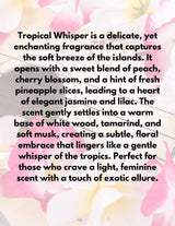 Lala's Premium Paradise Scents, Moderate Scented Powder Laundry Detergent 16oz (Tropical Whisper)