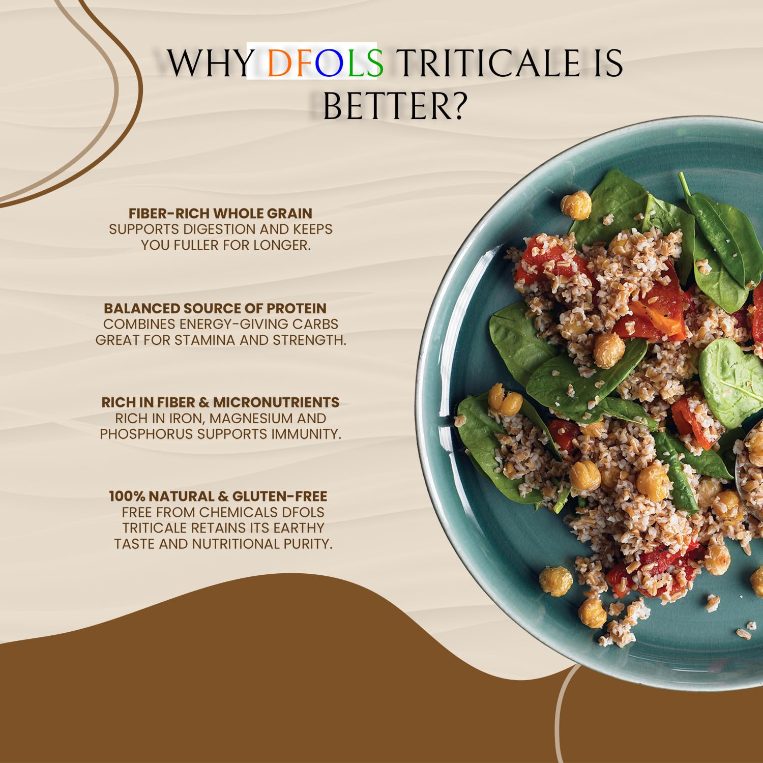 DFOLS Triticale Whole Grain Mild Nutty Wheat Rye Flavor for Cooking 0.55lb 8.82oz (250g) Premium Quality ???????
