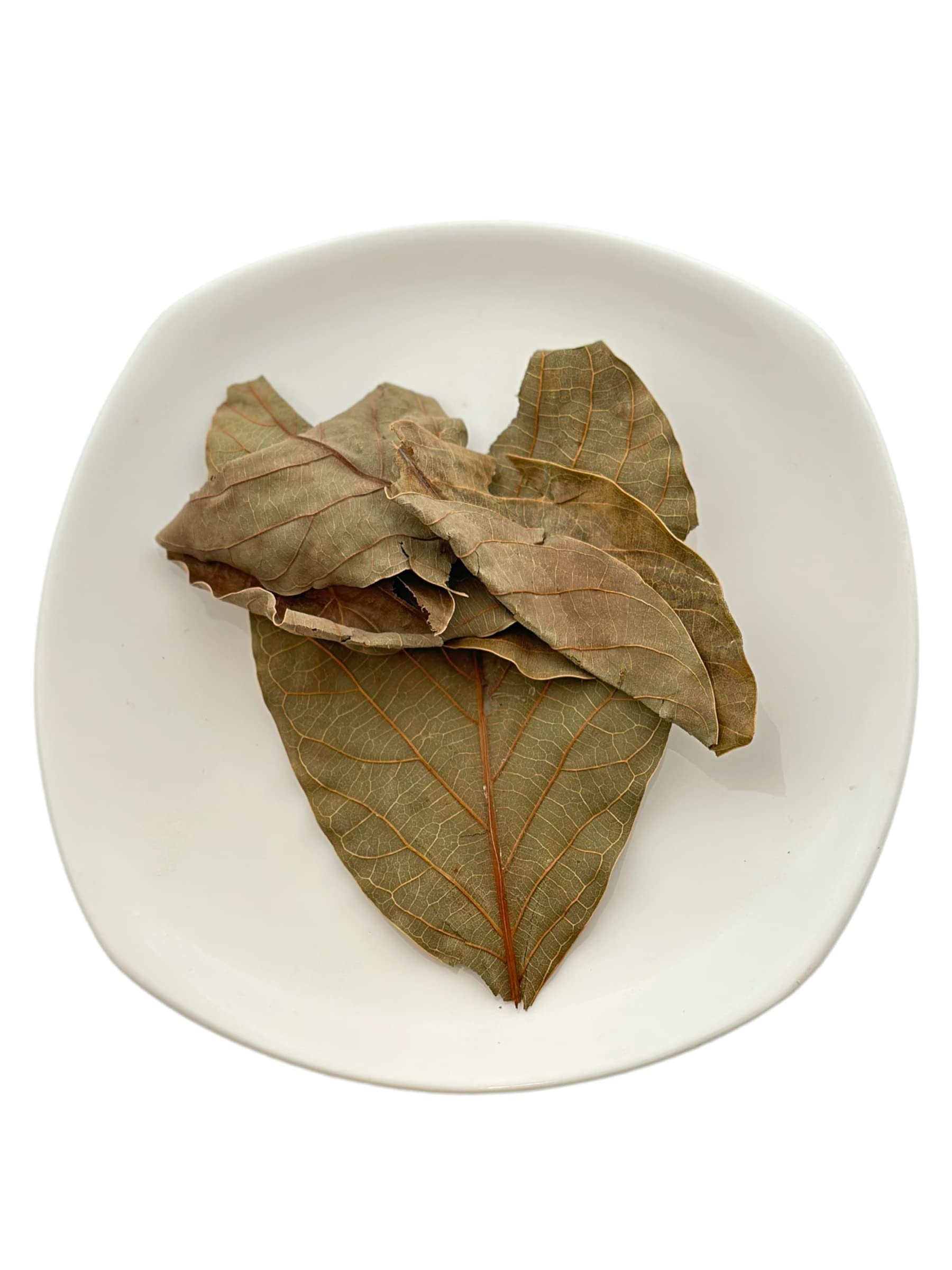 Avocado Leaves 28 Grams, Hojas de Aguacate 28 Gramos, Hojas de Palta Secas, Avocado Leaf Tea, Resealable Bag, Product of México