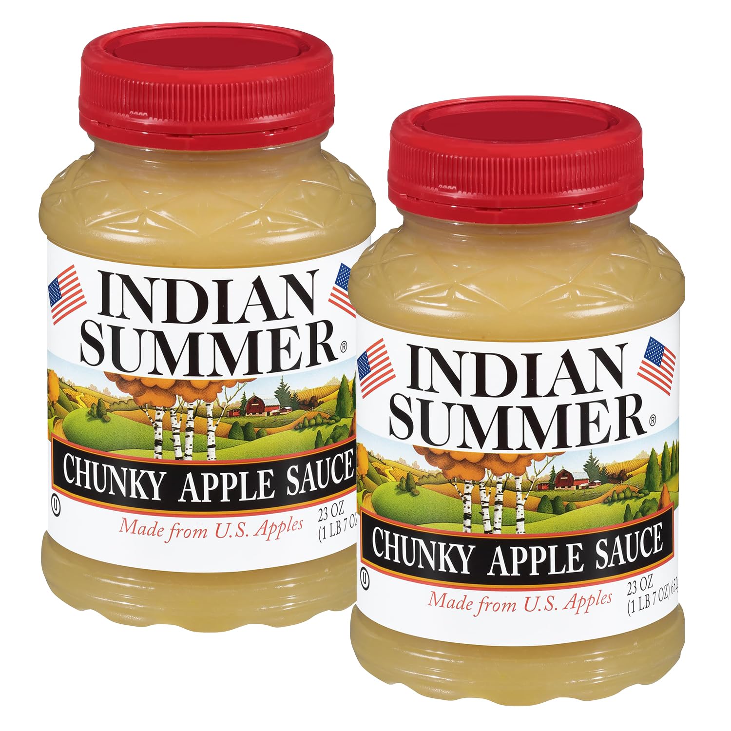 Indian Summer Premium Chunky Applesauce Made from US Apples and American Growers (Chunky Original, 23 Ounces Each, Pack of 2)