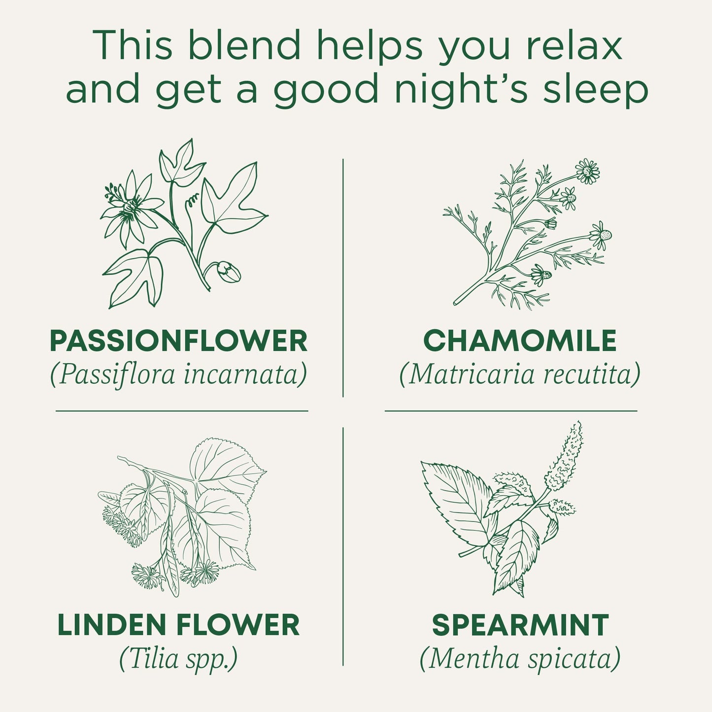 Traditional Medicinals Organic Nighty Night Tea, 16 Tea Bags (Pack of 1)