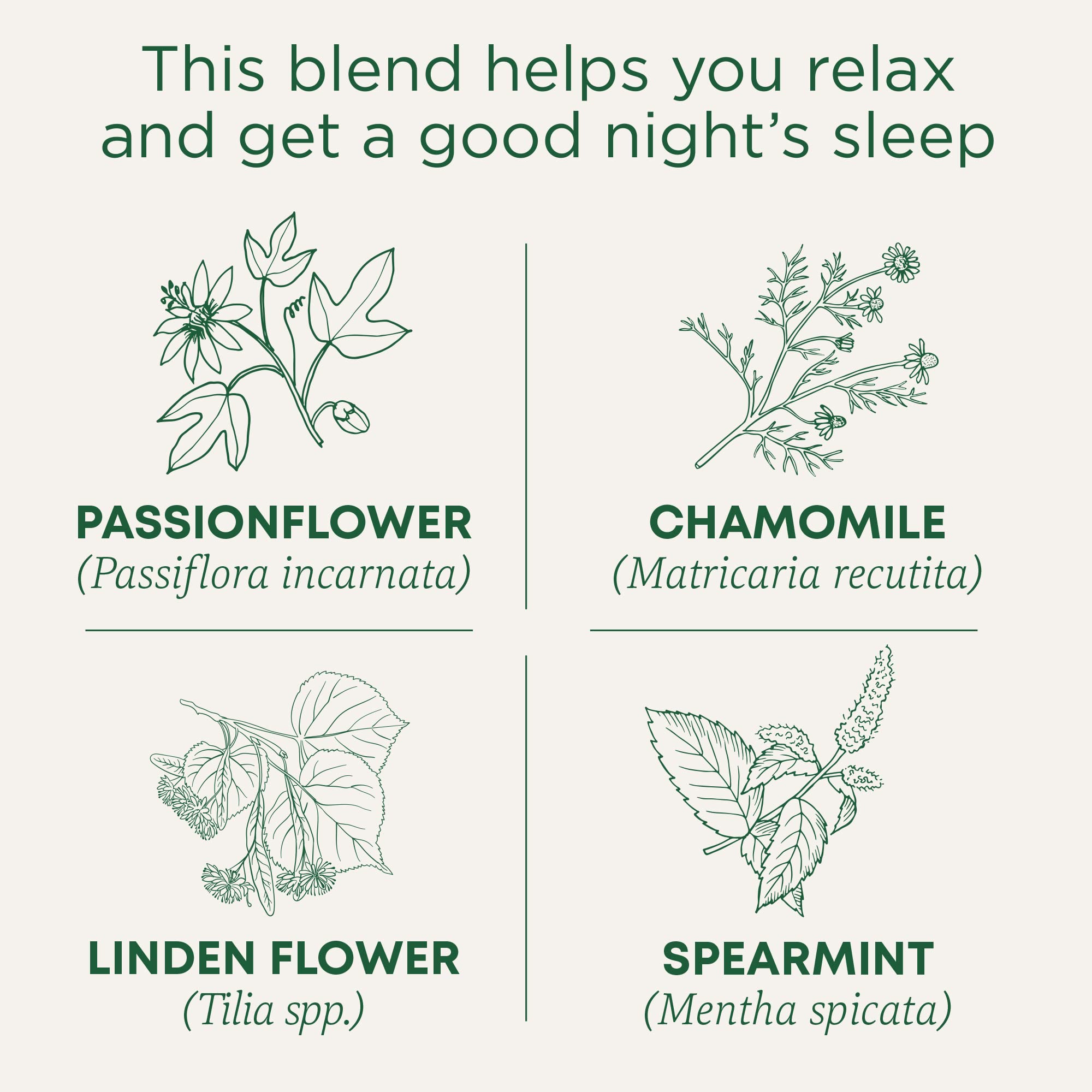 Traditional Medicinals Organic Nighty Night Tea, 16 Tea Bags (Pack of 1)