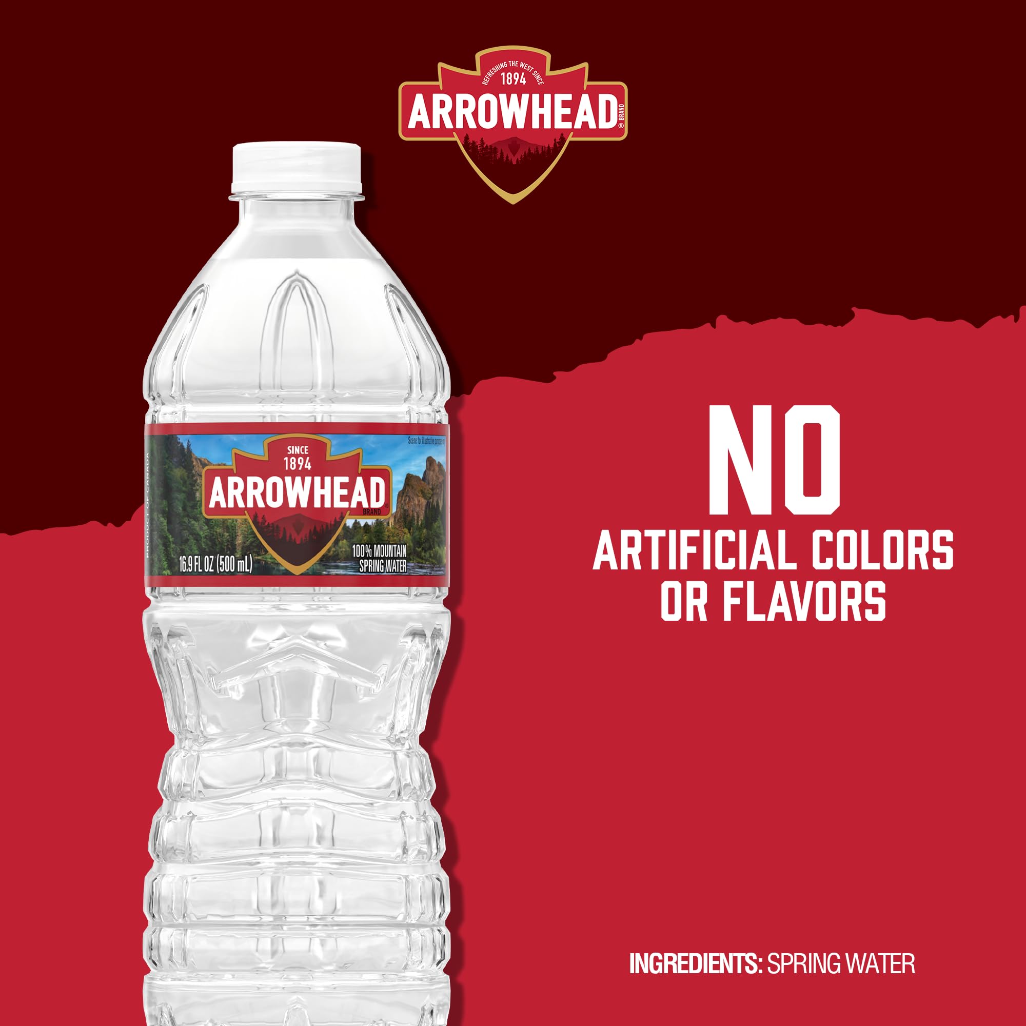 Arrowhead Mountain Spring Water Bottles, 24 Pack - Still Bottled Water with Naturally Occurring Minerals & Electrolytes for Taste - 16.9 Fl Oz