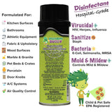 Green Bean Buddy Hospital Grade Disinfectant Flu Spray, Tubercilocidal, Herpes Spray, Staph Infection, HIV, Mold Control, All Surface Sanitizer, 20oz