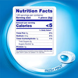 Mentos Pure Fresh Sugar-Free Chewing Gum with Xylitol, Fresh Mint, 120 Piece Resealable Bag (Pack of 1)