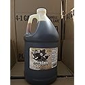 Pure Maple Syrup Gallon