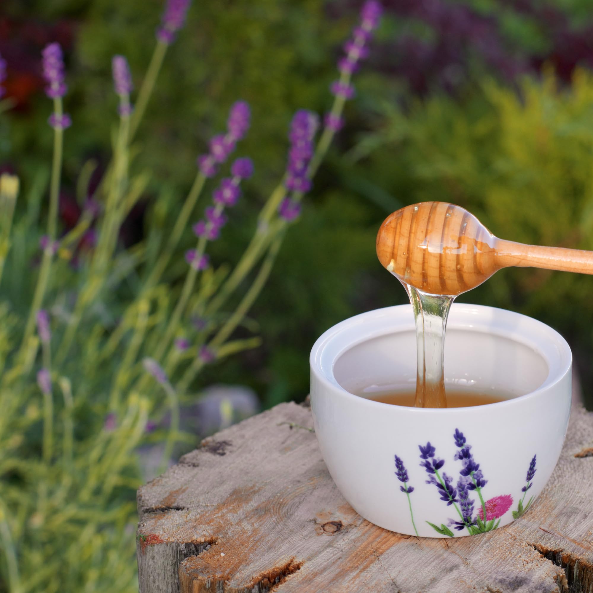Bulk Honey - 6 LBS - Half Gallon of Raw Honey - Raw Wildflower