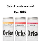 Orka Energy Water - Sugar-Free, Zero-Calorie, Non-Carbonated Caffeinated Water (12oz Cans, Variety Pack) | 150mg Natural Caffeine + Natural L-Theanine