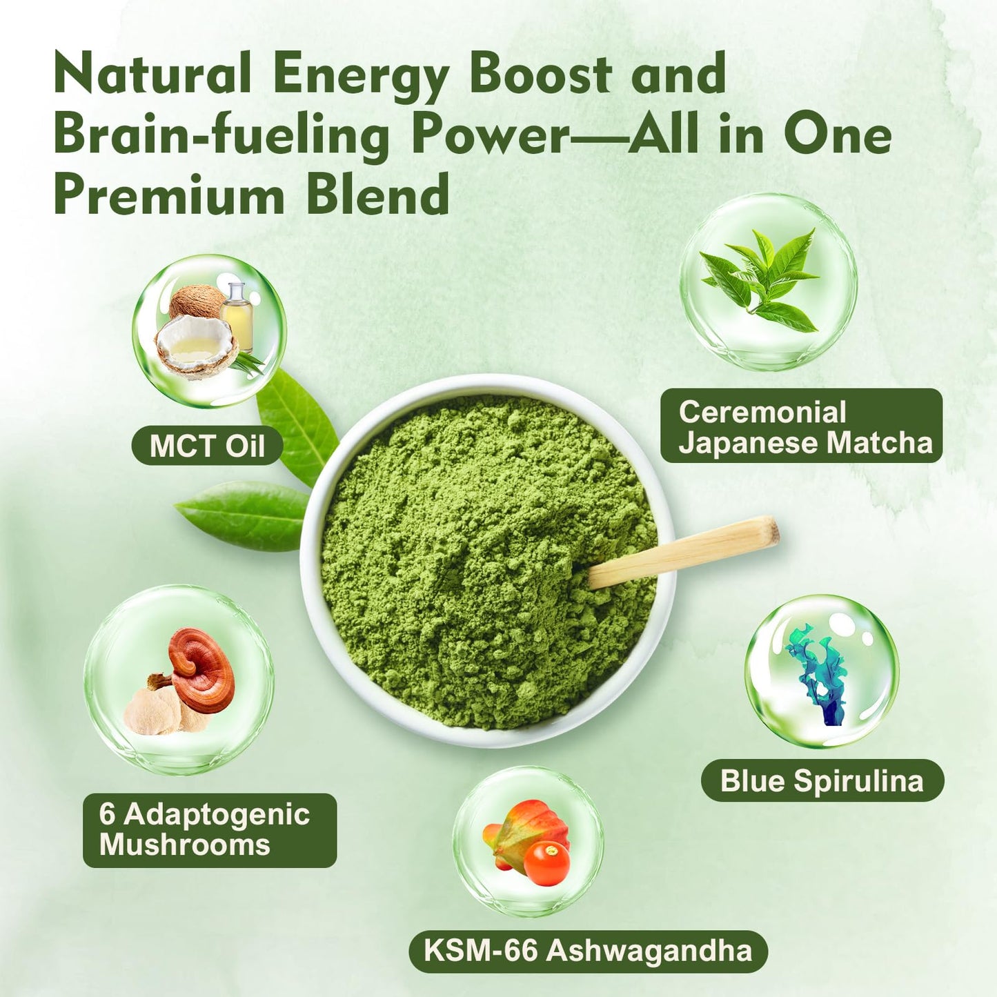 Veltracha Spirulina Mushroom Matcha, Japanese Ceremonial Grade Matcha with Ashwagandha, Adaptogenic Mushrooms Matcha Powder for Focus, Energy, Gut