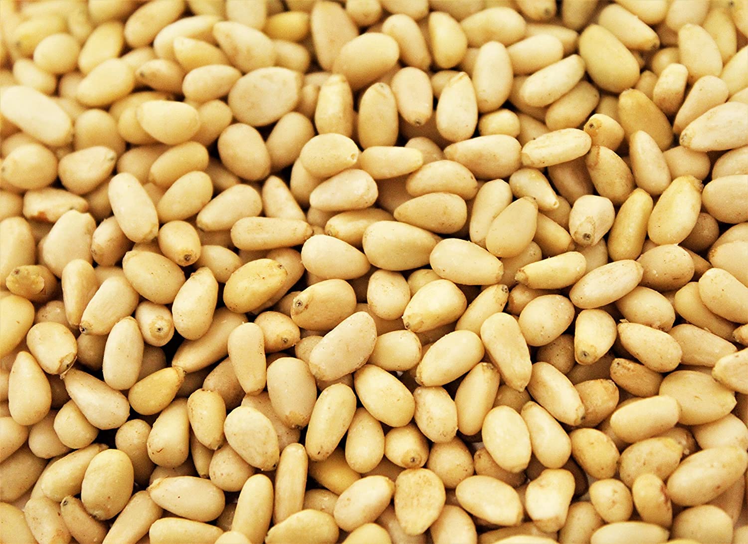Gourmet Toasted Pine Nuts by It's Delish, 40 OZ (2.5 lbs.) Jumbo Container - Premium Pine Nuts Pignolias Dry Roasted - Healthy Snack, Topping