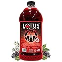 Red Lotus Plant Power® Energy Drink Concentrate | Natural Caffeine & PP7™ Formula | Plant-Based Organic Ingredients | Organic Cane Sugar Beverage |