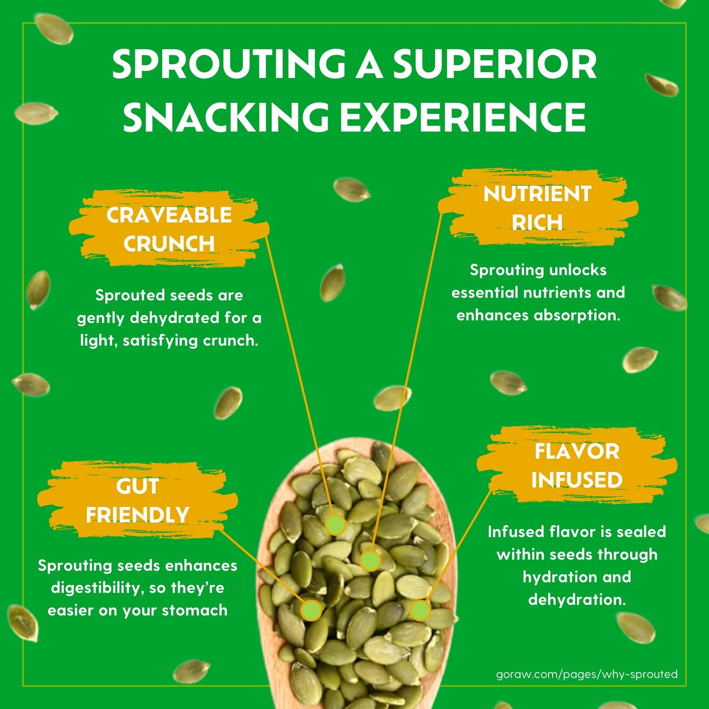 Go Raw Chocolate Peanut Butter Snacking Granola, 8oz Pouch