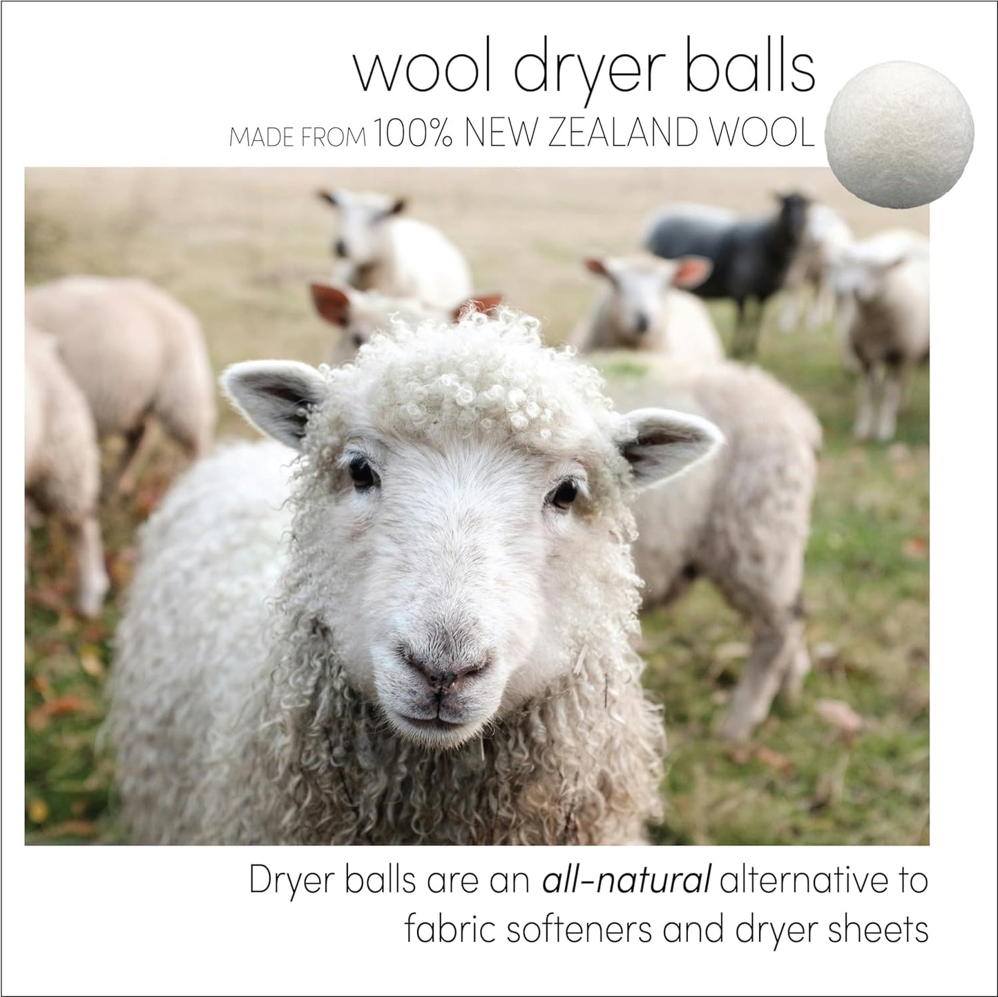 Three by Three Seattle Felt·Like·it!™ Wool Dryer Balls + Storage Bin: Reduce Drying Time, Static Cling, and Energy Use | Natural Alternative to Fabric