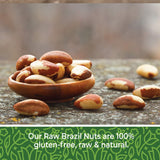 Herbaila Brazil Nuts Raw, 2lb. Brazilian Nuts, Raw Brazil Nuts Unsalted, Shelled Brazil Nuts Whole, Fresh Brazil Nuts Brazilian, All Natural, Non-GMO