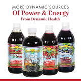 Dynamic Health Blueberry Cncntrt : 95998: Liq, (Btl-Plastic) 8oz
