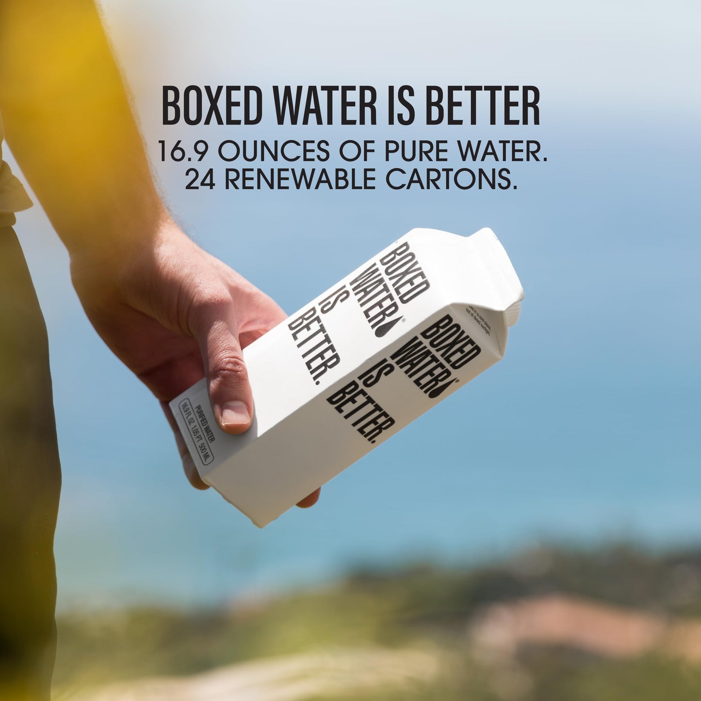 Boxed Water 16.9 oz. (24 Pack) - A Sustainable Alternative - Better Than Premium Plastic Bottles - Purified Drinking Water in Plant-Based Cartons