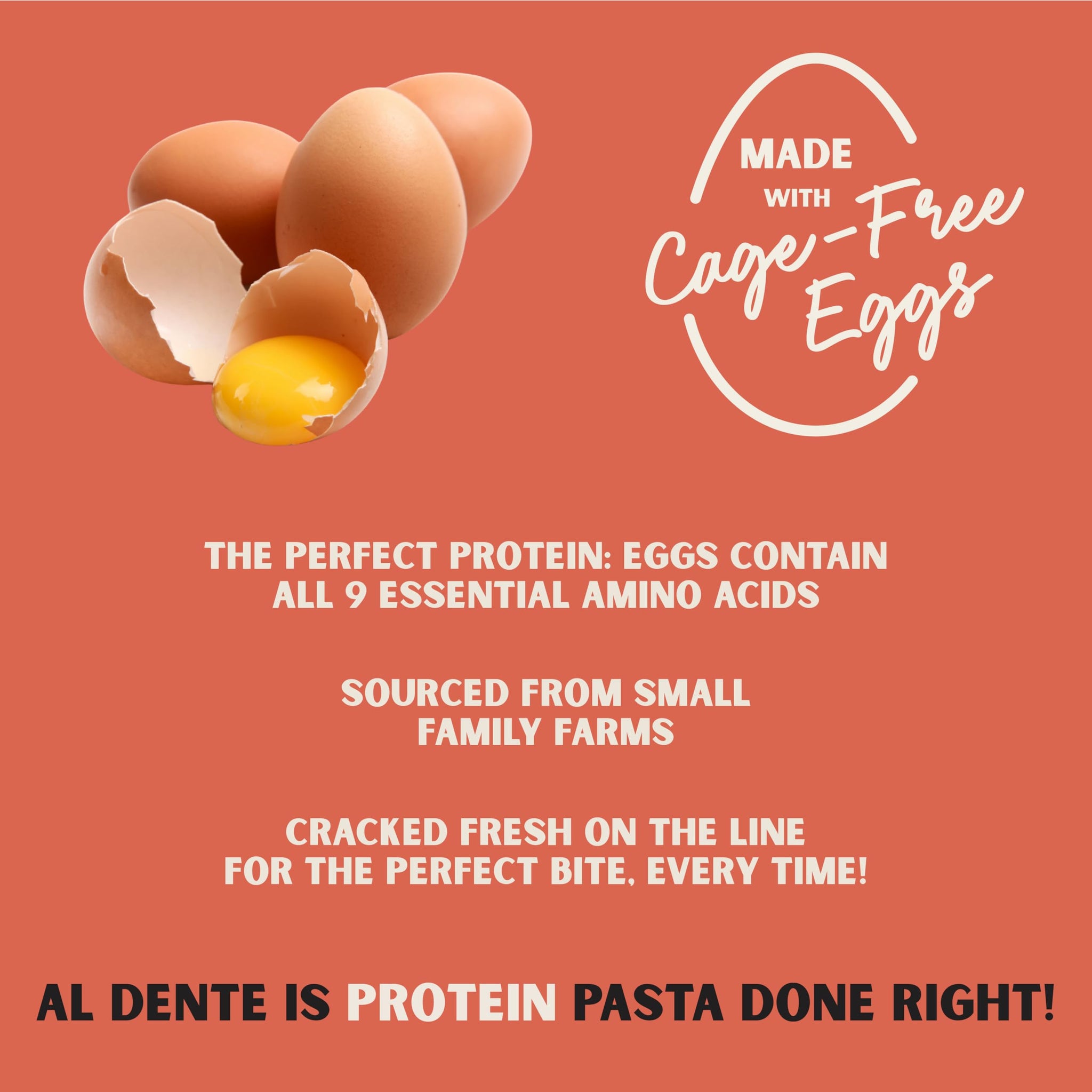 Al Dente Protein Pasta Egg Fettuccine - 30g High Protein in 3.5oz Serving, Lower Carb, High Fiber. Cage-Free Eggs & Semolina. (Previously Carba-Nada
