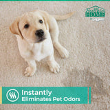 CHOMP! Professional Carpet Steamer Concentrate: 5X Stain Remover & Deodorizer Healthier Home Cleaner Protector Rugs Upholstery Cars Pet Odors 32 FL