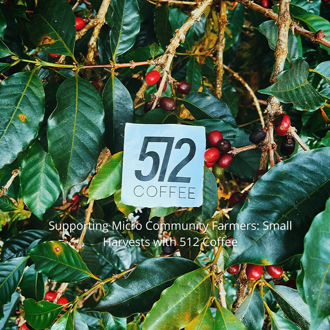 512 Coffee Ethiopia Yirgacheffe Light Roast Whole Bean - Single Origin Specialty Coffee with Tasting Notes of Raspberry, Honey & Floral - Fresh