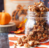 Pumpkin Grain Free Granola by Within/Without | Certified Paleo and Keto Diet Friendly Chewy Granola | Naturally Gluten Free Low Carb Snack | No
